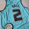581774738_18066859478617567_6266862276501338777_n Camiseta NBA Premium Charlotte Hornets