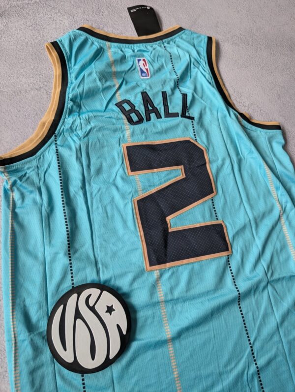 581774738_18066859478617567_6266862276501338777_n Camiseta NBA Premium Charlotte Hornets